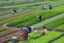 En medio de la crisis, apenas 4 de cada 100 de quienes trabajan en el campo acceden a créditos
