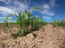 Proponen impulsar la agricultura 5.0 para lidiar con la crisis en el campo