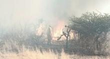 Más de 20 incendios forestales se han registrado en Aguascalientes en lo que va del año