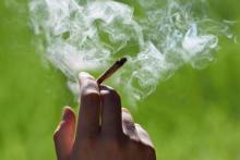Senado de Colombia rechaza la legalización del uso recreativo de marihuana 