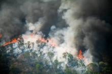 México enviará ayuda a Canadá por incendios forestales