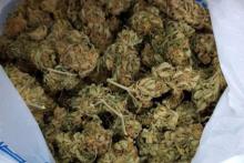 SEDENA también asegura metanfetamina, cocaína y marihuana en Aguascalientes