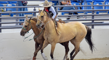 Campeonato Nacional Charro Infantil, Juvenil y Escaramuzas 2023