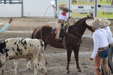 NACIONALITO CHARRO