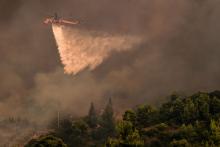 Siguen activos incendios forestales en Italia y Grecia