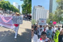Miles marchan en CDMX a favor de la tauromaquia, la charrería y las peleas de gallos