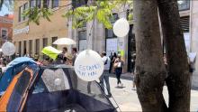 Animalistas cumplen tres días acampando afuera del Congreso
