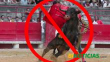 Por primera vez interponen amparo contra corridas de toros en Aguascalientes 