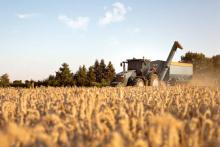 ONU pide a Rusia a retomar acuerdos del Mar Negro para la expropiación de cereales ucranianos