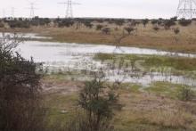 Cosío, Asientos, El Llano y San José de Gracia padecen la escasez de lluvia.
