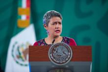 Renuncia Karla Quintana a la Comisión Nacional de Búsqueda de Personas Desaparecidas