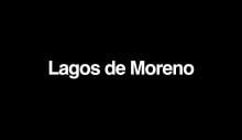 Políticos, ciudadanos y periodistas convocan al #LutoNacional por jóvenes desaparecidos en Lagos de Moreno