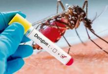 Dengue