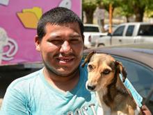 Hoy, esterilización gratuita de mascotas en San José de Gracia