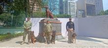 Inaugura Sedena monumento en honor a Proteo, el perro rescatista que murió en Turquía
