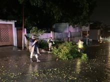 [VIDEO] Huracán Otis toca tierra en inmediaciones de Acapulco como categoría 5