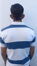 distribuidor 