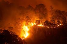 Bomberos instan a evacuar y refugiarse ante incendios forestales en Australia