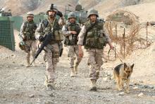 Militares