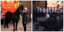 Marco Flores sufre accidente con caballo en la grabación de un video 