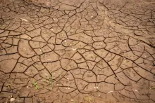 Sequía 