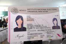 22 de enero, fecha límite para tramitar credencial para votar, advierte Guadalupe Taddei