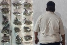 distribuidor 