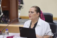 Guadalupe Taddei expresa preocupación por falta de respeto a acuerdos internos