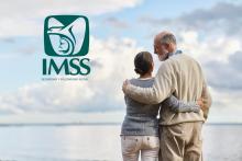 Pensiones IMSS