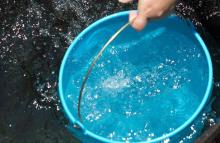 Llegan a la Comisión Estatal de Derechos Humanos quejas por falta de de agua