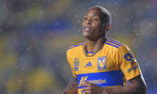 LUIS QUIÑONES TIGRES