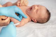 Baja cobertura de vacunación pone en riesgo a la población infantil, advierten especialistas