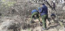 Hallan 10 cadáveres en fosa clandestina en Luis Moya, Zacatecas