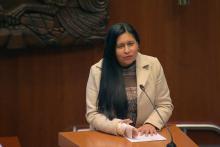 Presidenta del Senado de México busca amplio acuerdo para aprobar reformas constitucionales