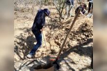 Hallan más de 100 restos de huesos en una fosa clandestina, en Baja California Sur