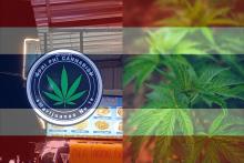 Tailandia prohibirá la venta y consumo de la mariguana… nuevamente