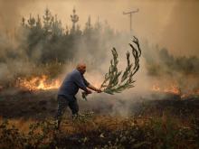 Sigue aumentando la cifra de muertos por incendios en Chile