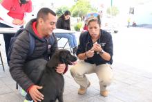 Servicios veterinarios gratuitos este viernes en Pabellón de Arteaga