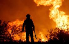 Más de 2 mil hectáreas incendiadas en el Parque Nacional de Argentina