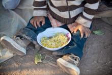 Por primera vez Cuba pide ayuda alimentaria a la ONU