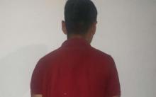 distribuidor 