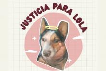“Que se castigue a los que están dañando a los animalitos”, pide familia de la perrita Lola