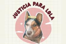 “Que no quede en carpetazo el caso de Lola”,  pide asociación Ángeles con Patitas