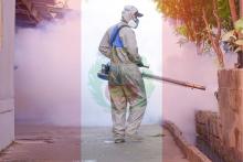 Casos de Dengue en Perú se disparan hasta un 262% de un año a otro