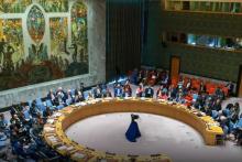 EE.UU le niega a Palestina un puesto como miembro del pleno de la ONU