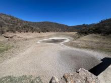 Presas, desaparecen por completo. Sequía arrasa con reservas de Aguascalientes