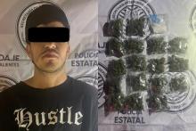 distribuidor 