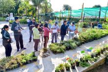 Todos los jueves puedes acudir al Vivero Municipal para la donación de árboles 