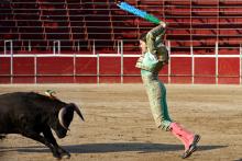 ¡Otra vez!, suspenden temporalmente las corridas de toros en CDMX 