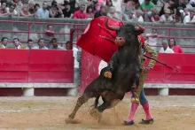 Revocan suspensión de corridas de toros en la Plaza México… Una vez más